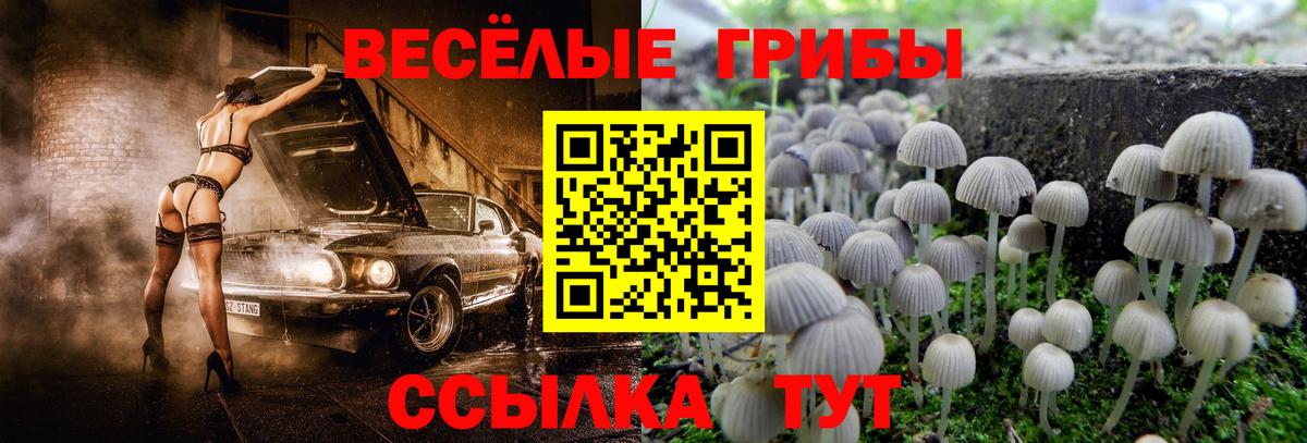 Галлюциногенные грибы мицелий  Вход с VPN  Галлюциногенные грибы Psilocybine cubensis  Владикавказ 