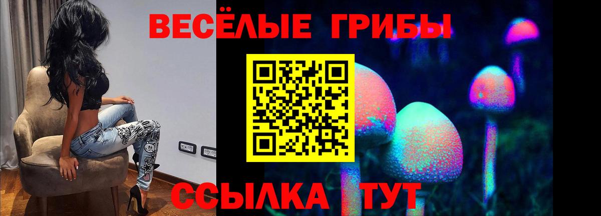 Псилоцибиновые грибы Magic Shrooms Владикавказ
